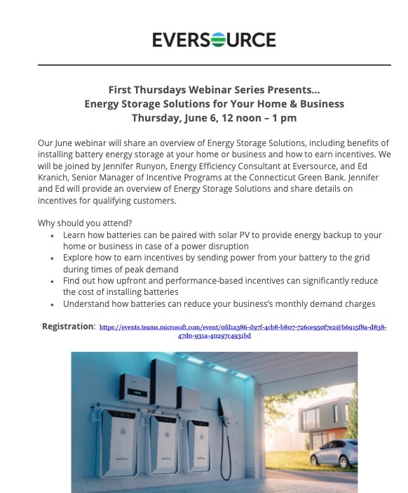 Energy Storage Solutions for Your Home & Business